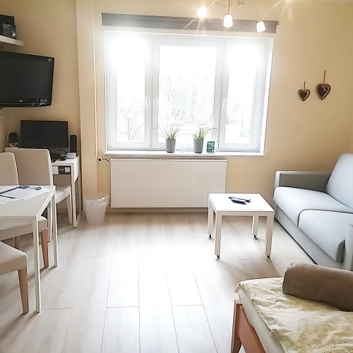 Blick ins Wohnzimmer
